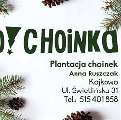 O!Choinka, Sprzedaż choinek