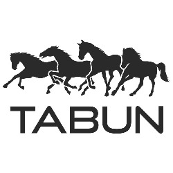 TABUN - Transport i logistyka