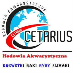Sklep Akwarystyczny Cetarius, Hodowla Akwarystyczna CETARIUS