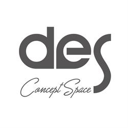 DES Concept Space