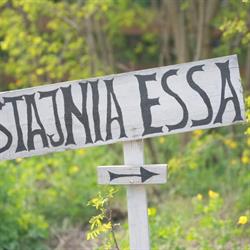 Stajnia ESSA
