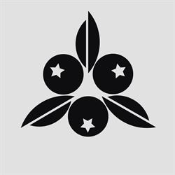 Inkberry Tattoo & Piercing