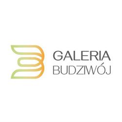 Galeria Budziwój