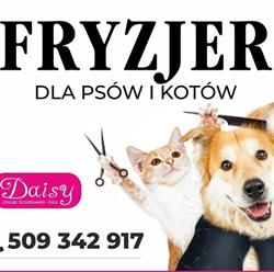 Daisy fryzjer dla zwierzat