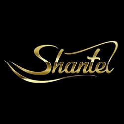 Shantel Szkoła Tańca - Bachata & K-pop Rzeszów