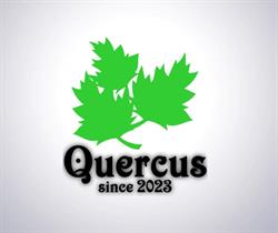 Quercus Mateusz Skrobiranda