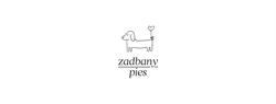 Zadbany pies