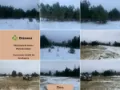Karczowanie i przygotowanie terenu pod inwestycję