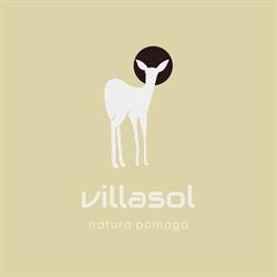 Villasol