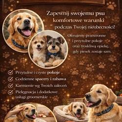 DOG HOUSE Groomer & Hotel Danuta Kaczmarczyk