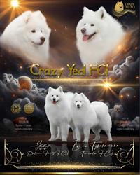 Crazy Yed FCI Dariusz Waszkiewicz