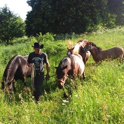 \"Ropuszy Dwór\" Agroturystyka. Pokoje Gościnne. Jazda Konna. Malarstwo. Noclegi