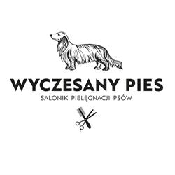 Wyczesany Pies Salonik Pielęgnacji Psów Groomer, Psi fryzjer Oliwa