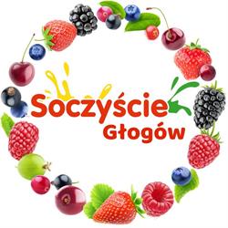 Soczyście Głogów