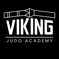 Judo Viking- Będzin