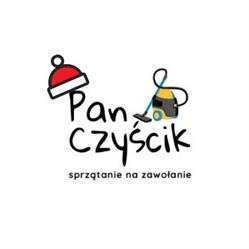 Pan Czyścik Pranie Tapicerki Czyszczenie Auta Karcher Poznań