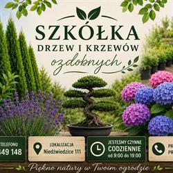 Szkółka drzew i krzewów ozdobnych