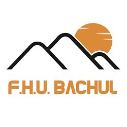 F.H.U.\"Bachul\" Skup i Sprzedaż Urządzeń Gastronomicznych/Produkcja Wędlin