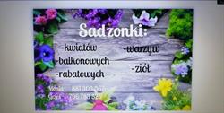 ogrodnictwojarosz