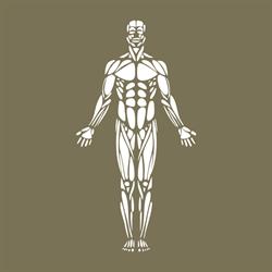Sport & Health Fizjoterapia Łukasz Szprengel