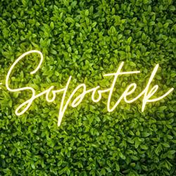 Sopotek