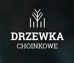 Drzewka Choinkowe