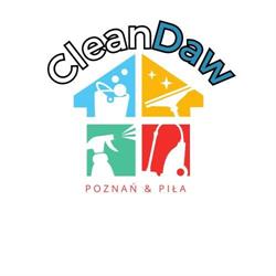 Czyszczenie tapicerki samochodowej i meblowej oraz car detailing, CleanDaw