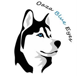 Oaza Blue Eyes - Hodowla Siberian Husky
