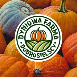 Dyniowa farma