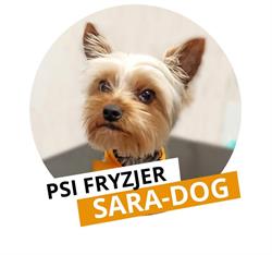 Psi Fryzjer Złotoryja SARA-DOG - Strzyżenie Psów - Salon Pielęgnacji Psów