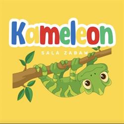 Kameleon Sala Zabaw