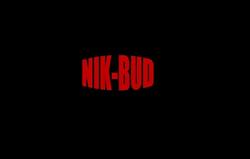 NIK-BUD usługi ogólnobudowlane