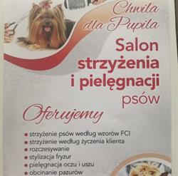 Chwila dla pupila