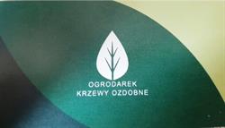 P.H.U Ogrodarek - Krzewy ozdobne