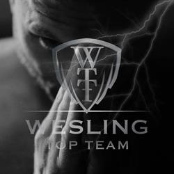Wesling Top Team - MMA Gym & Naturotherapy