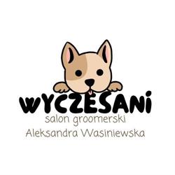 Wyczesani salon groomerski Leśniewo