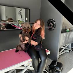 Psi Fryzjer - Groom Room by Tetiana Kirova Bydgoszcz