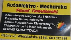 AutoElektro-Mechanika Paweł Twardowski