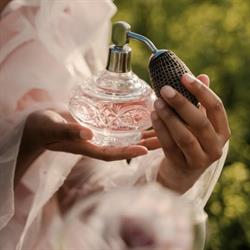 Mała Perfumeria - Perfumy, Kosmetyki
