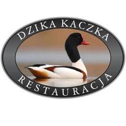 Dzika Kaczka