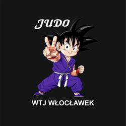 Włocławskie Towarzystwo Judo