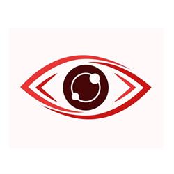 Optyk Perfect Vision