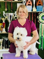 Salon PSIękności - Psi Groomer/Fryzjer Lublin
