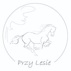 Jazda Konna i Hipoterapia Przy Lesie