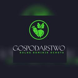 Gospodarstwo Rolne Dominik Ochota