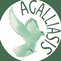 Wspólnota Katolicka Agalliasis