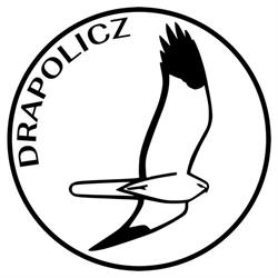 Drapolicz