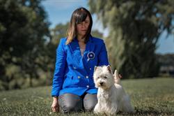 Fizjo Home Dog - Salon Pielęgnacji Psów, Hodowla West Highland White Terrier