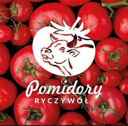 Polskie Pomidory Ryczywół - Sklepy Firmowe Oddział Kozienice - HURT / DETAL