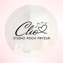 Studio Psich Fryzur CLIO